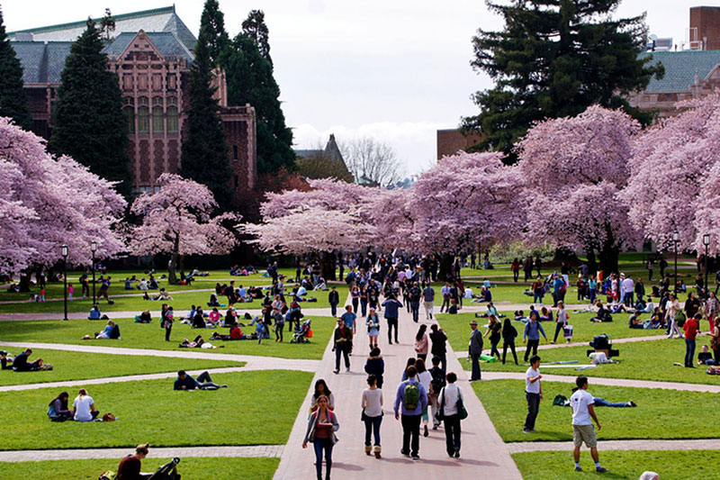 University of Washington